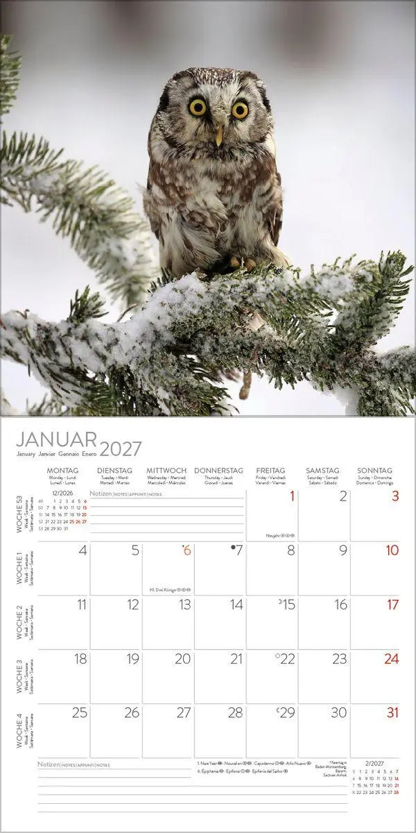 Bild: 9783819303807 | Eulen 2027 | Verlag Korsch | Kalender | 13 S. | Deutsch | 2027