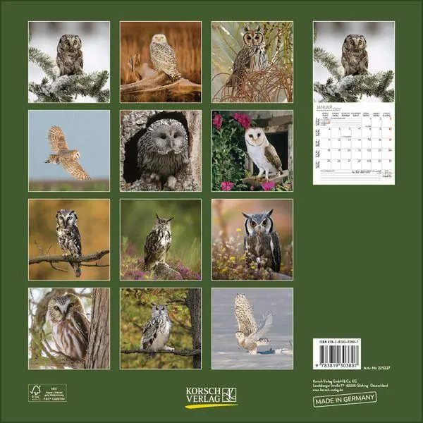 Bild: 9783819303807 | Eulen 2027 | Verlag Korsch | Kalender | 13 S. | Deutsch | 2027