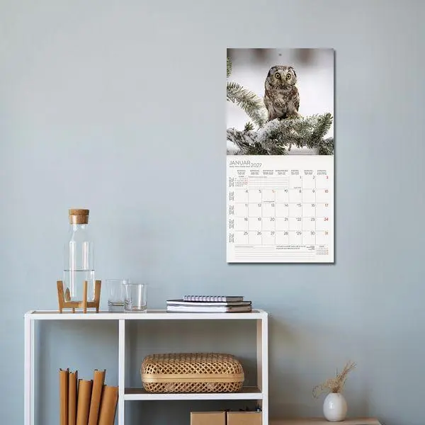 Bild: 9783819303807 | Eulen 2027 | Verlag Korsch | Kalender | 13 S. | Deutsch | 2027