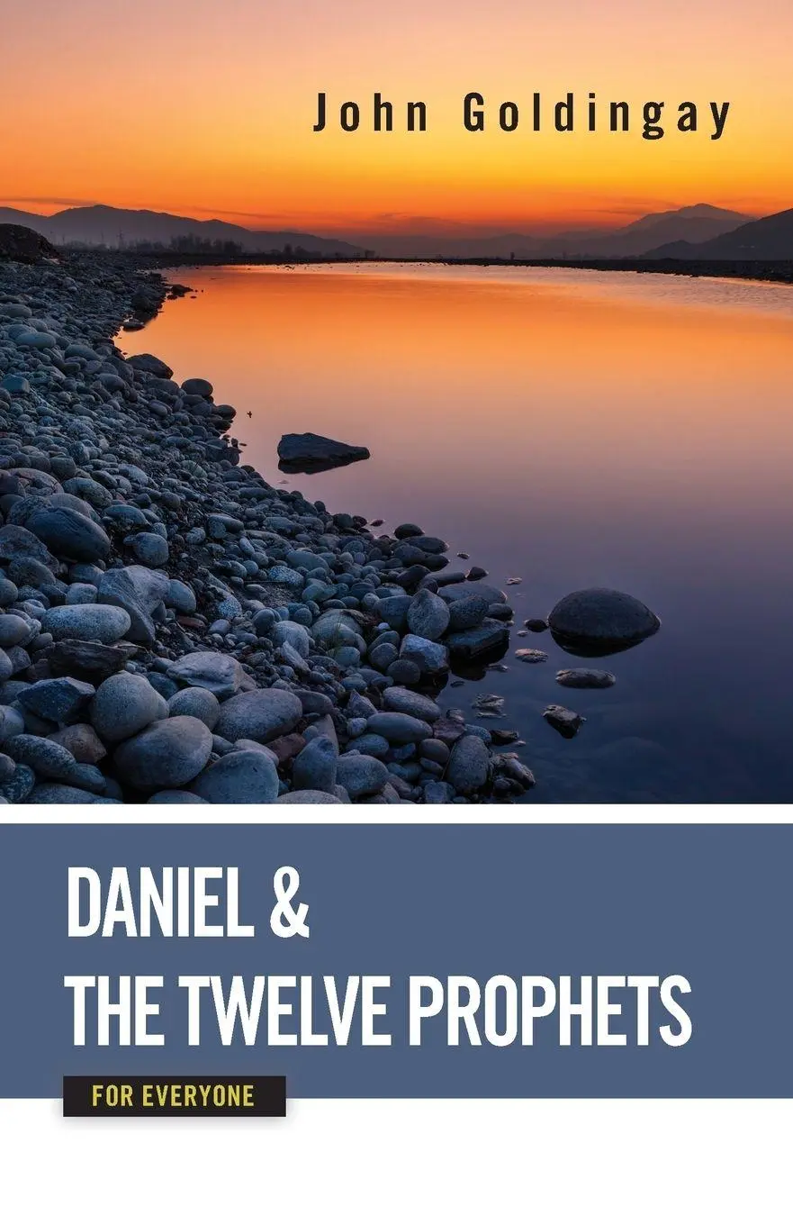 Cover: 9780664233907 | Daniel and the Twelve Prophets for Everyone | John Goldingay | Buch