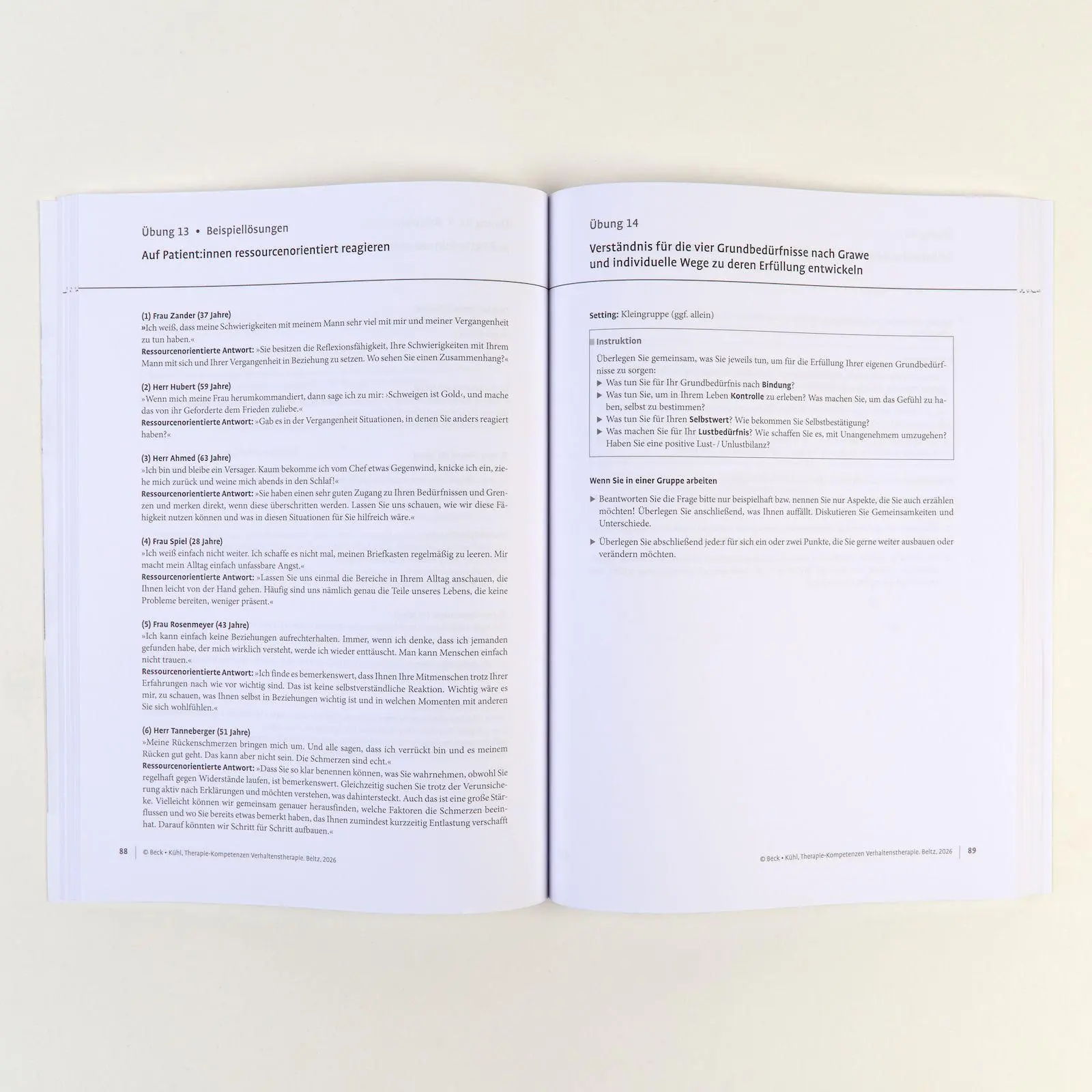 Bild: 9783621293907 | Therapie-Kompetenzen Verhaltenstherapie | Anne Beck (u. a.) | Bundle