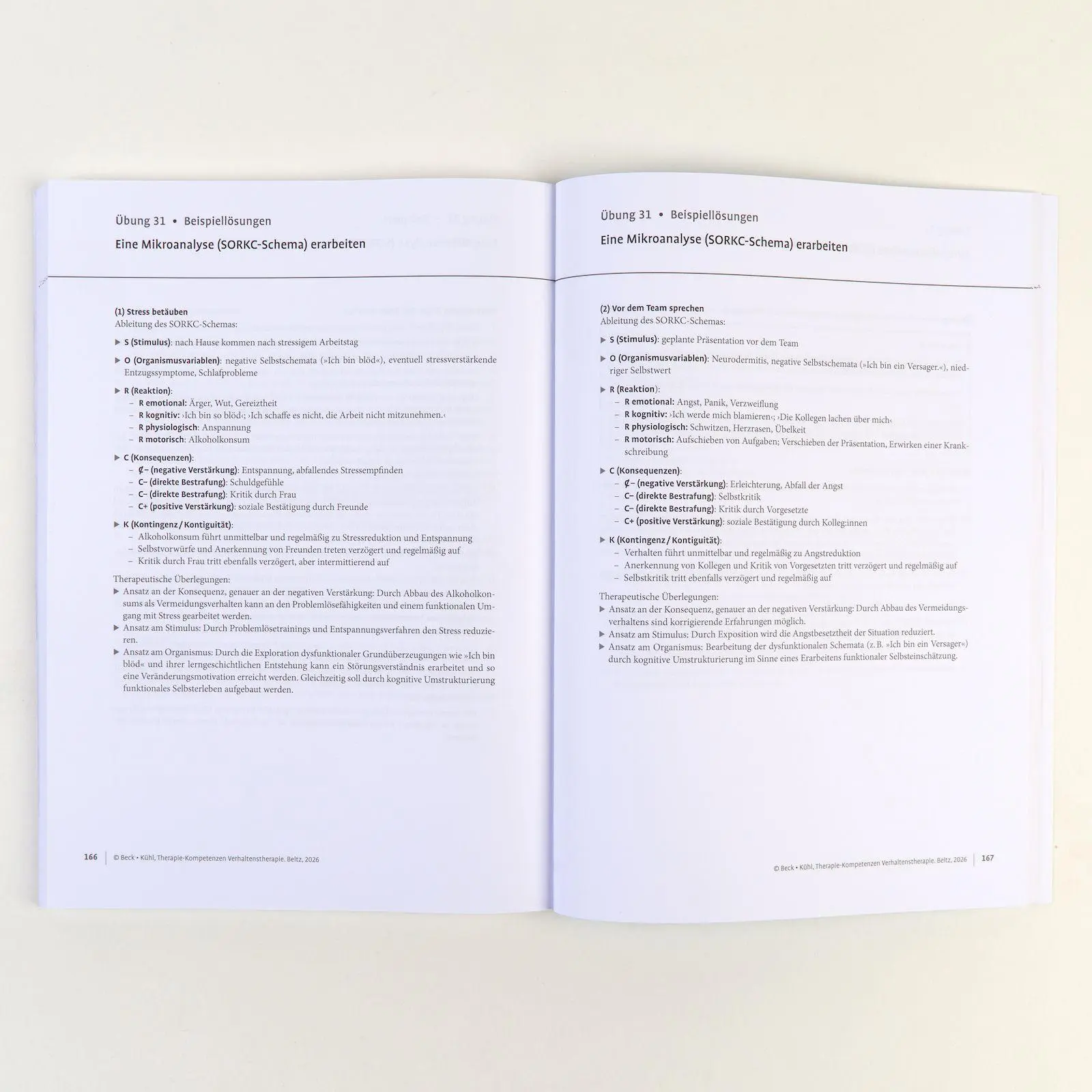 Bild: 9783621293907 | Therapie-Kompetenzen Verhaltenstherapie | Anne Beck (u. a.) | Bundle