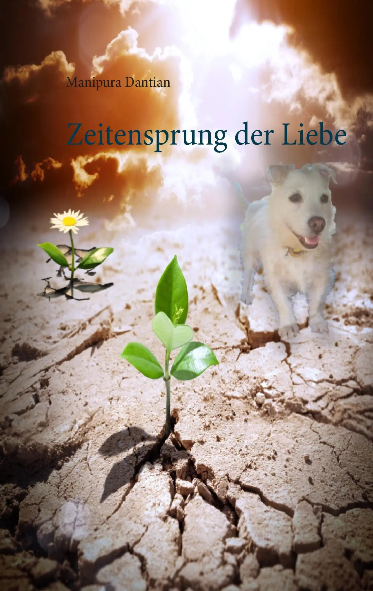 Cover: 9783844803907 | Zeitensprung der Liebe | Manipura Dantian | Taschenbuch | 116 S.