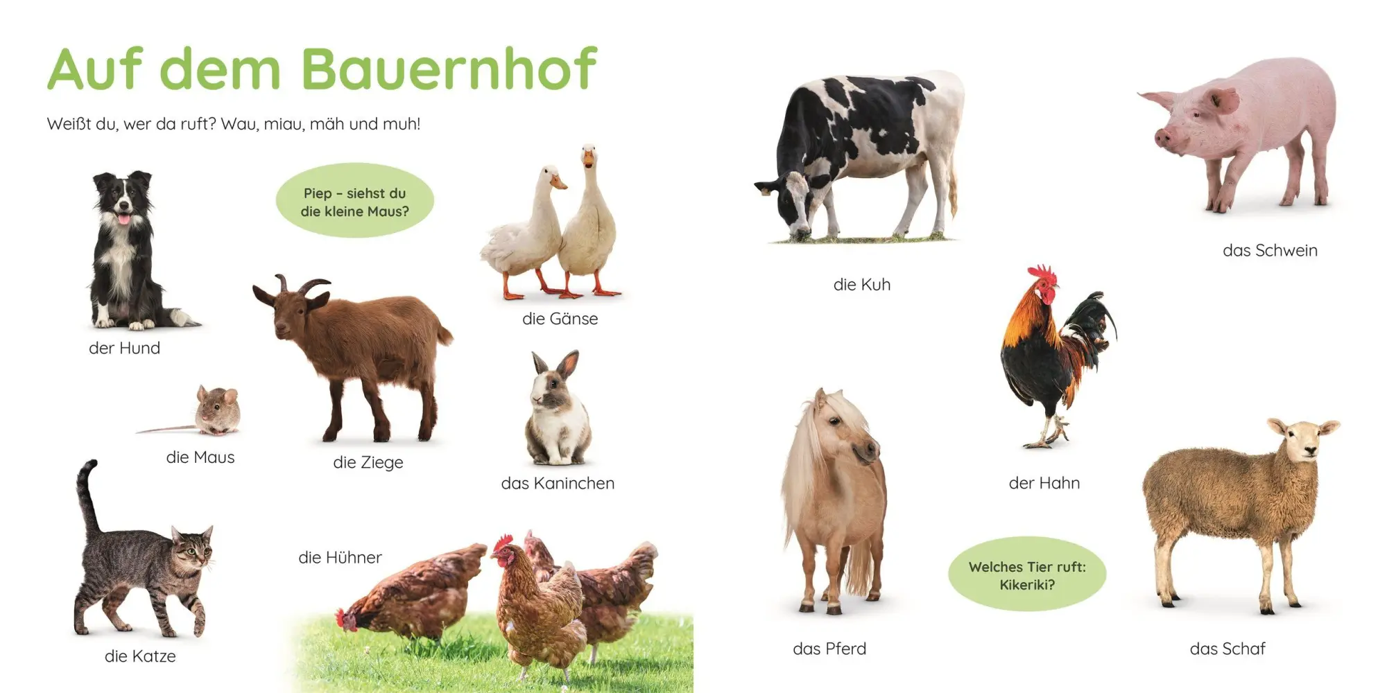 Bild: 9783831054107 | Erstes Lernen Puzzlebuch. Tiere | DK Erstes Lernen | Buch | 12 S.