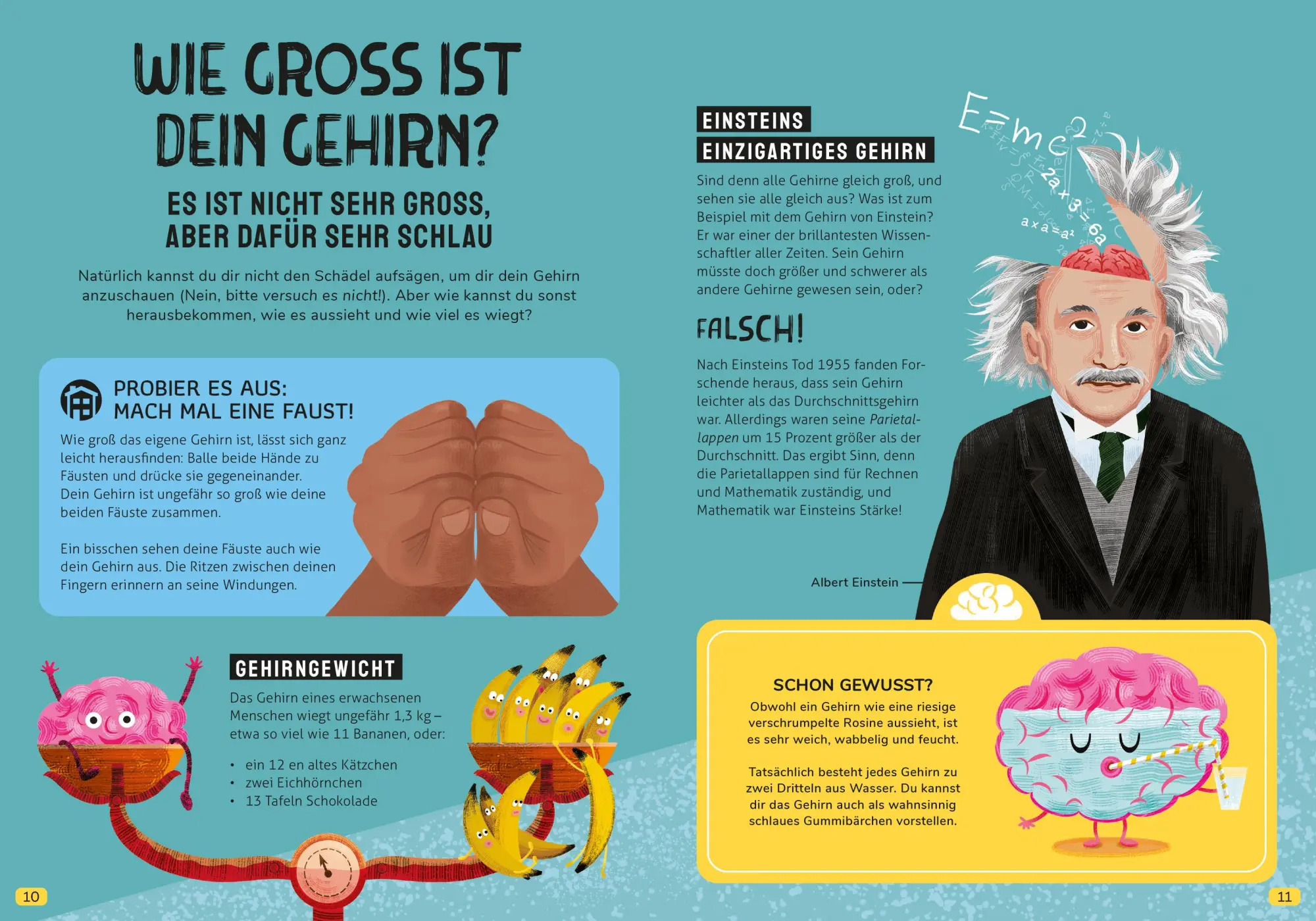 Bild: 9783961294107 | In den Kopf geschaut - Was das Gehirn alles kann | Tim Kennington