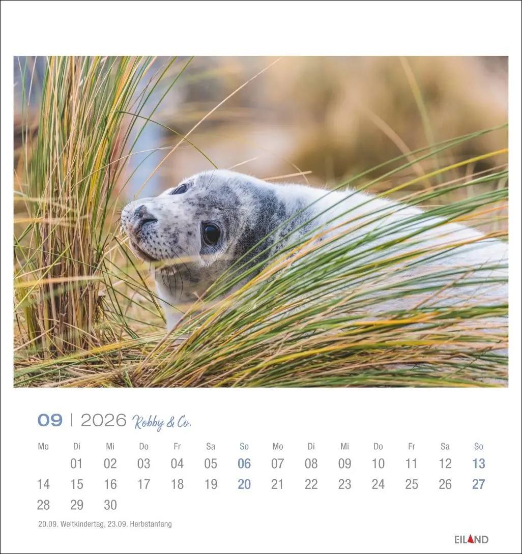 Bild: 9783964024107 | Robby &amp; Co. Postkartenkalender 2026 | Kalender | Spiralbindung | 13 S.