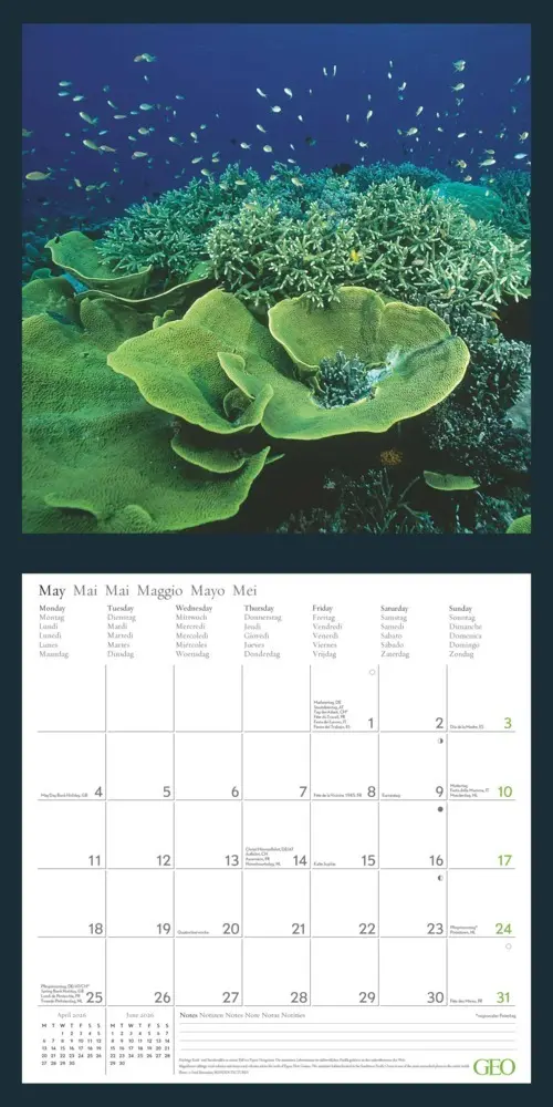 Bild: 4069095004207 | GEO - Amazing Nature 2026 - Wandkalender 30x30 cm (offen 30x60 cm),...