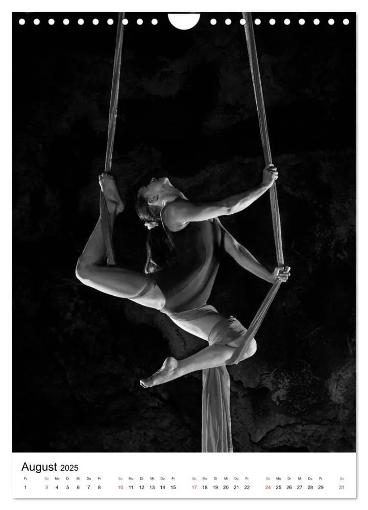 Bild: 9783435974207 | VERTIKALTUCH Artistik (Wandkalender 2025 DIN A4 hoch), CALVENDO...