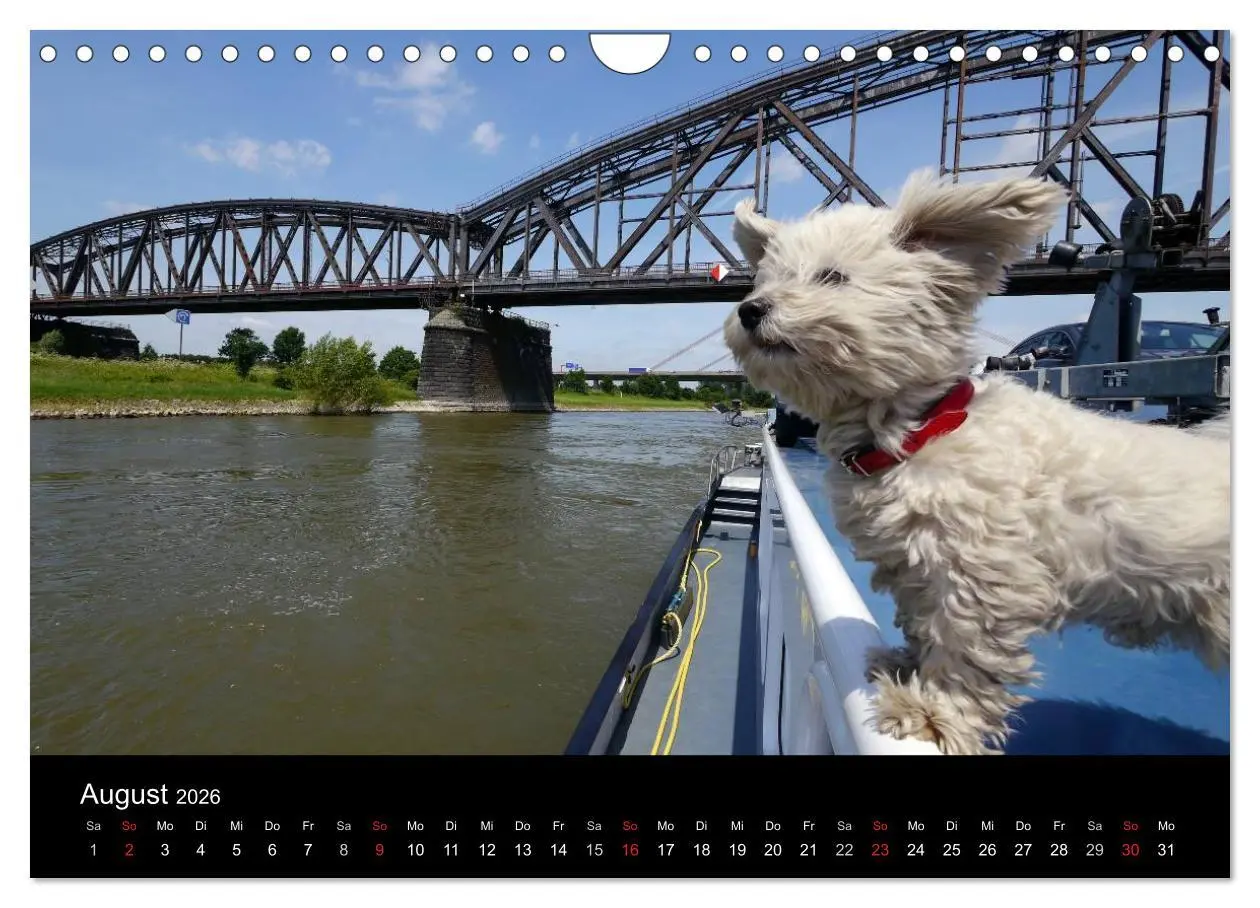Bild: 9783516224207 | Binnenschiff Ahoi! (Wandkalender 2026 DIN A4 quer), CALVENDO...