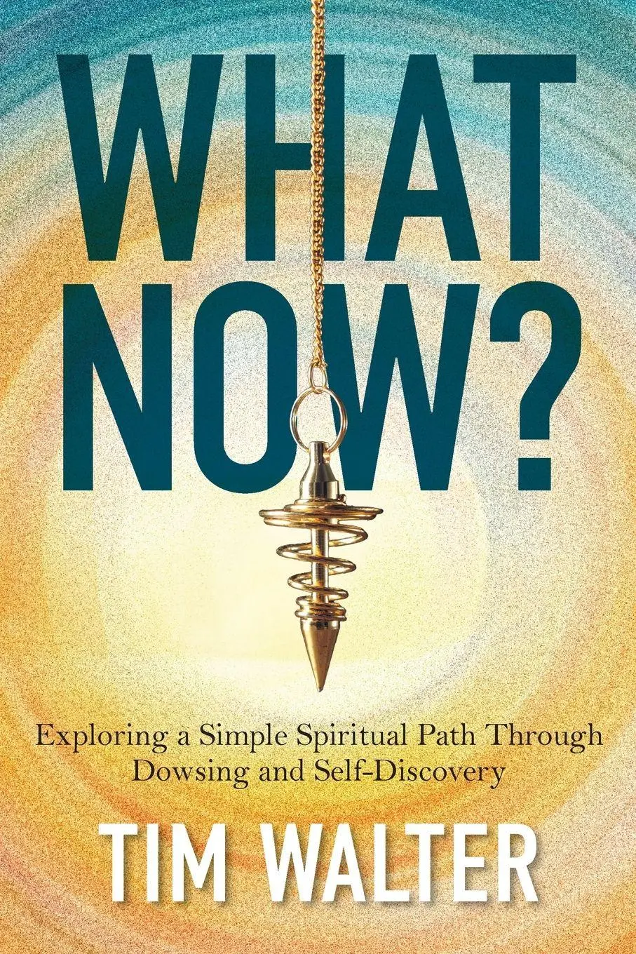 Cover: 9781919374307 | What Now? | Tim Walter | Taschenbuch | Englisch | 2026 | KnightsRose