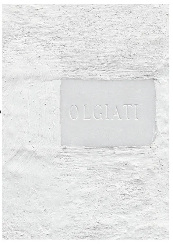 Cover: 9783034604307 | Dado | Built and Inhabited by Rudolf Olgiati and Valerio Olgiati