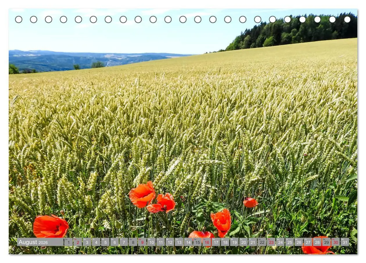 Bild: 9783457814307 | Wandern im Erzgebirge (Tischkalender 2026 DIN A5 quer), CALVENDO...