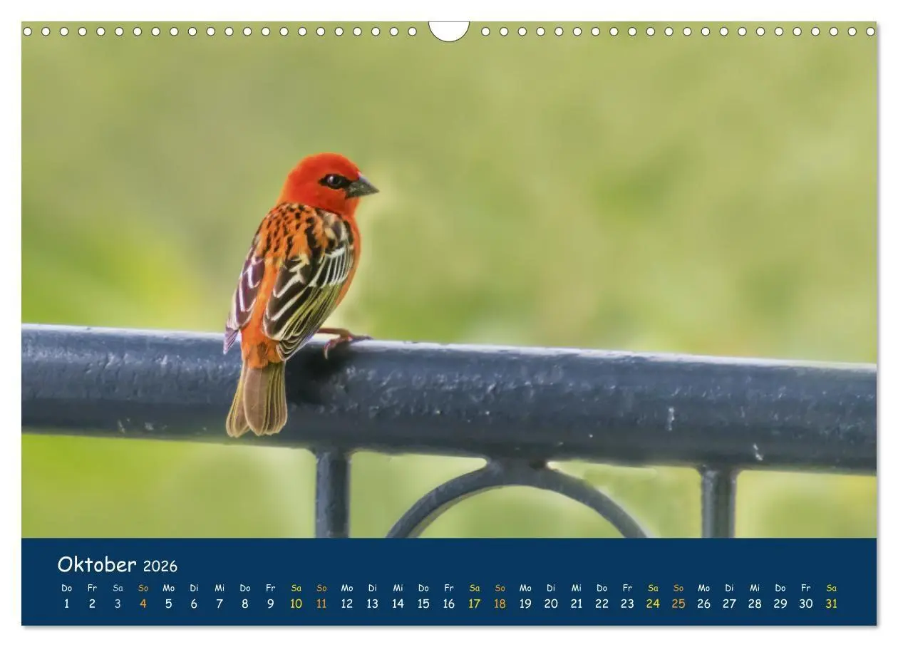 Bild: 9783516694307 | Faszinierende Tierwelt von Mauritius - Magische Momente der Natur...