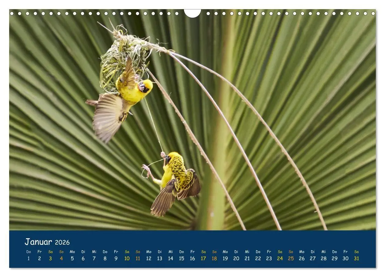 Bild: 9783516694307 | Faszinierende Tierwelt von Mauritius - Magische Momente der Natur...