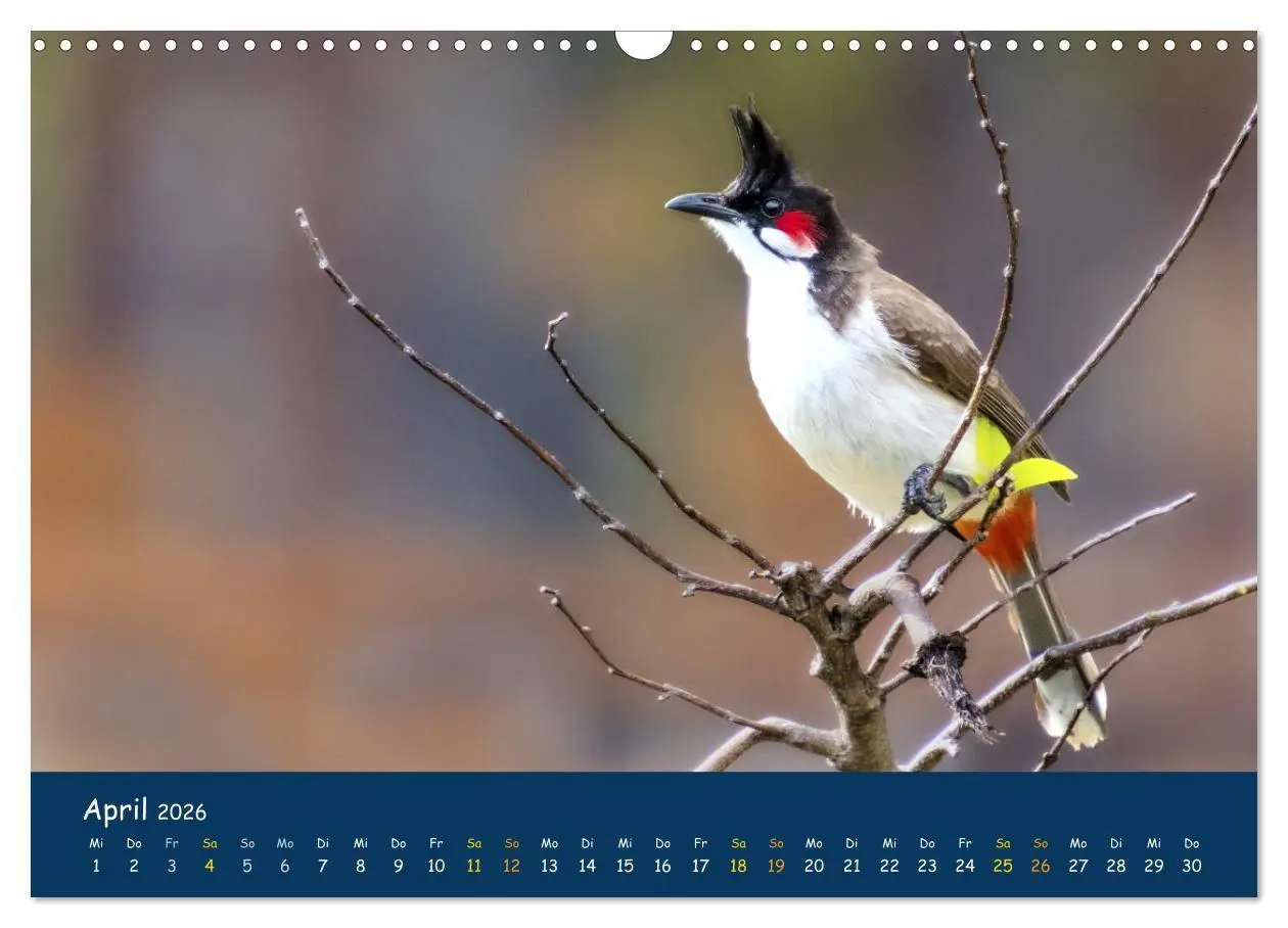 Bild: 9783516694307 | Faszinierende Tierwelt von Mauritius - Magische Momente der Natur...