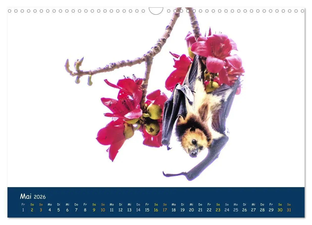 Bild: 9783516694307 | Faszinierende Tierwelt von Mauritius - Magische Momente der Natur...