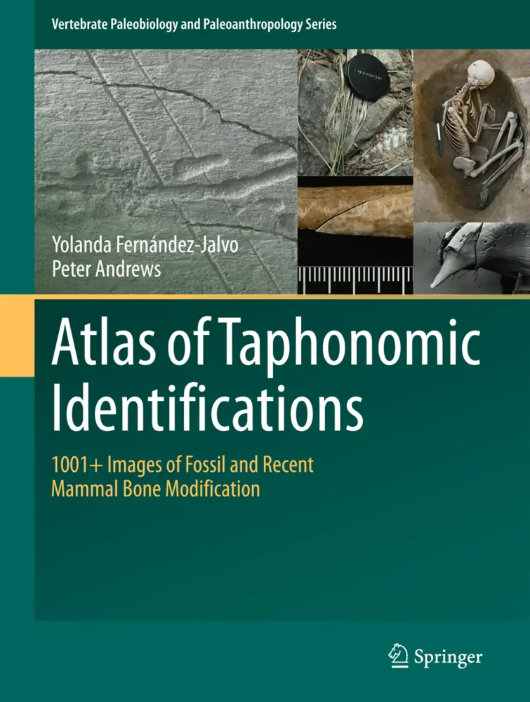 Cover: 9789401774307 | Atlas of Taphonomic Identifications | Peter Andrews (u. a.) | Buch