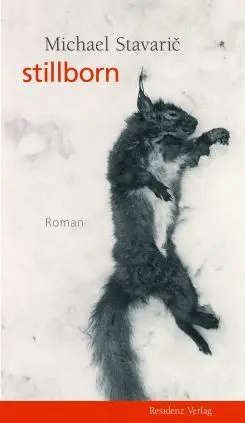 Cover: 9783701714407 | stillborn | Roman | Michael Stavaric | Taschenbuch | 171 S. | Deutsch