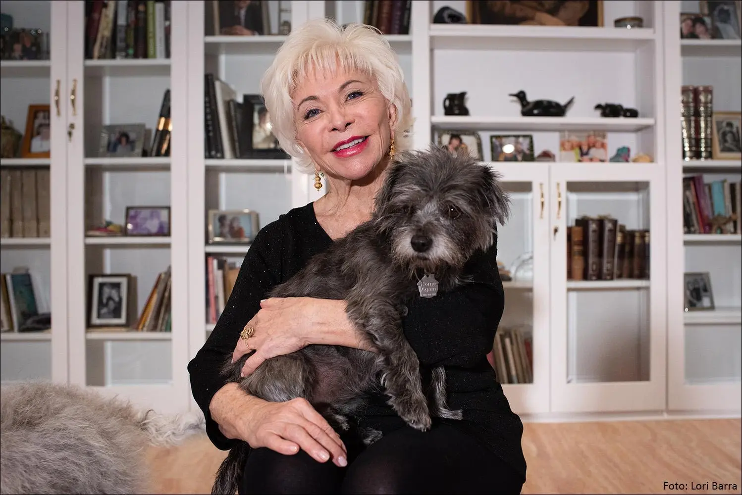 Bild: 9783458644507 | Perla der Superhund 1 | Isabel Allende | Buch | Perla, der Superhund
