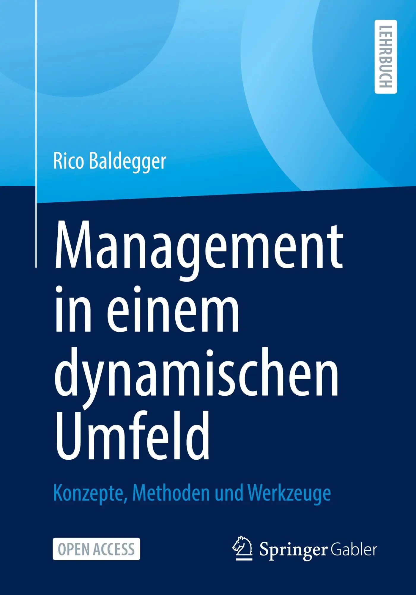 Cover: 9783658484507 | Management in einem dynamischen Umfeld | Rico Baldegger | Taschenbuch