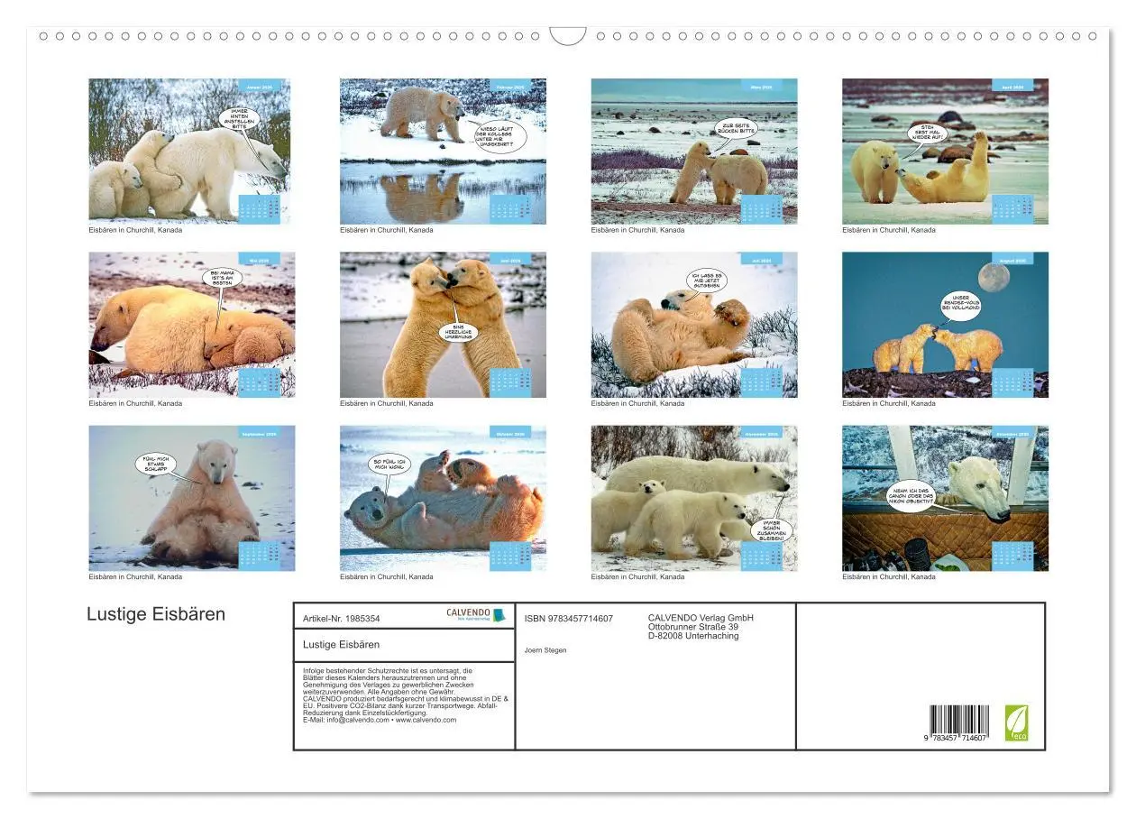 Bild: 9783457714607 | Lustige Eisbären (Wandkalender 2026 DIN A2 quer), CALVENDO...