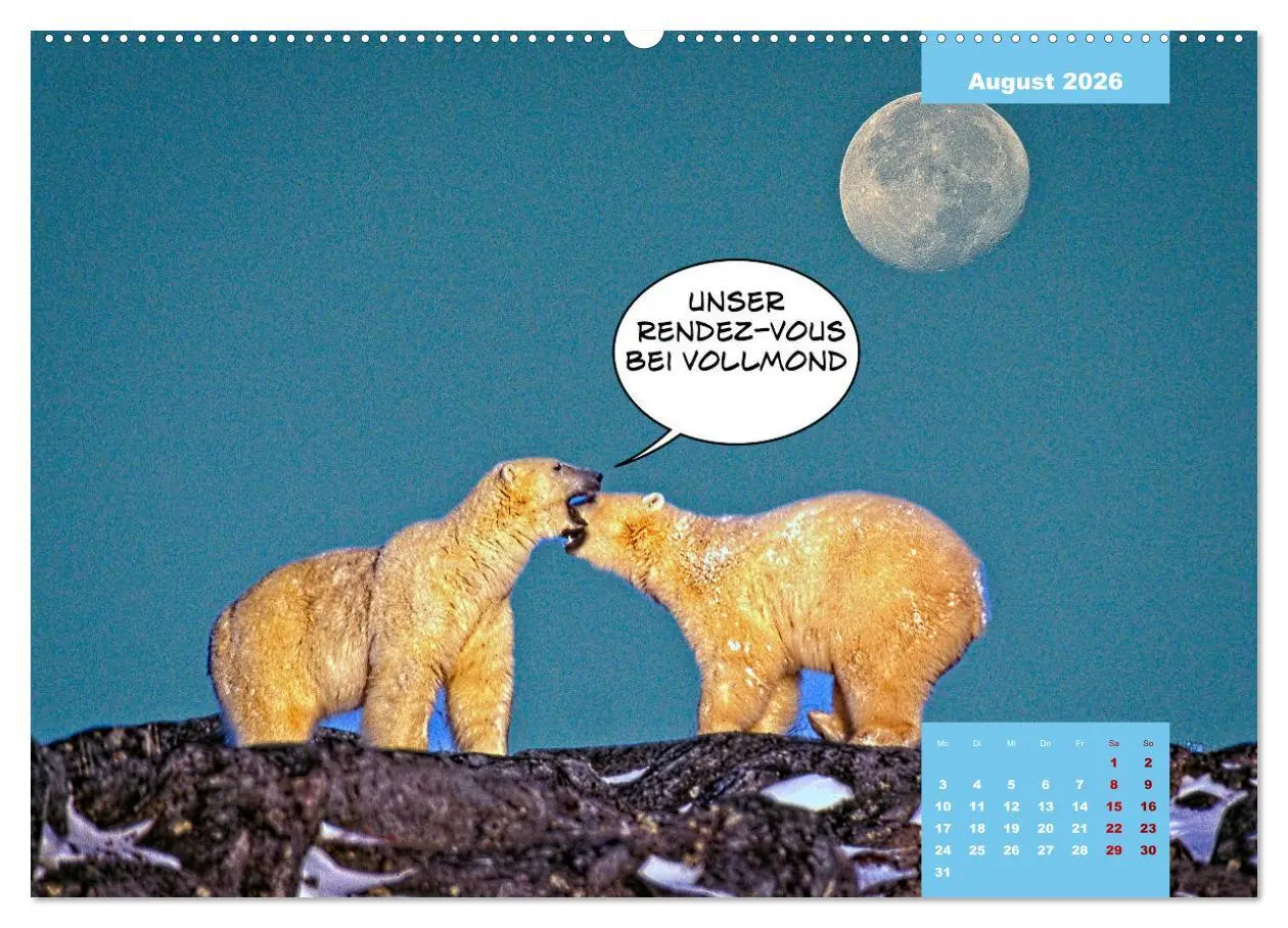 Bild: 9783457714607 | Lustige Eisbären (Wandkalender 2026 DIN A2 quer), CALVENDO...