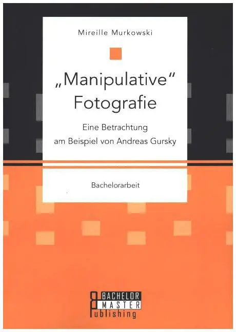 Cover: 9783958204607 | "Manipulative" Fotografie: Eine Betrachtung am Beispiel von Andreas...