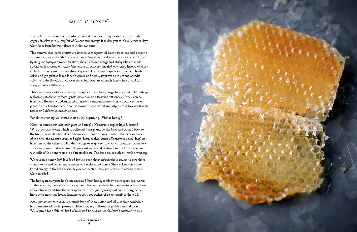 Bild: 9781911624707 | Spoonfuls of Honey | Recipes from Around the World | Hattie Ellis