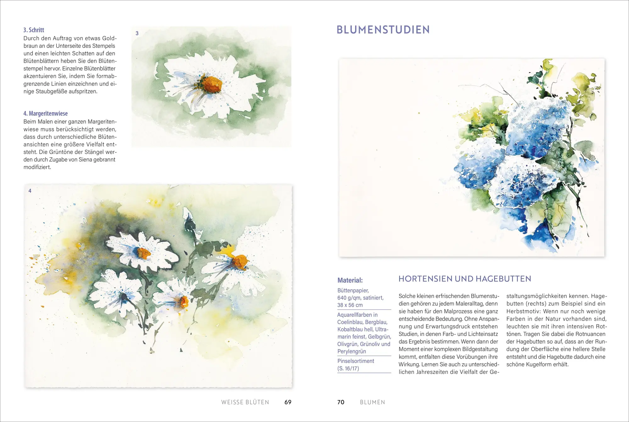 Bild: 9783862304707 | Handbuch Aquarell | Grundlagen, Techniken, Motive | Ekkehardt Hofmann
