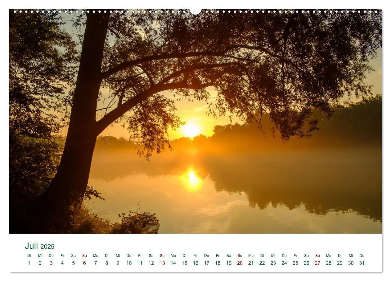 Bild: 9783383994807 | Auwälder bei Enns (Wandkalender 2025 DIN A2 quer), CALVENDO...