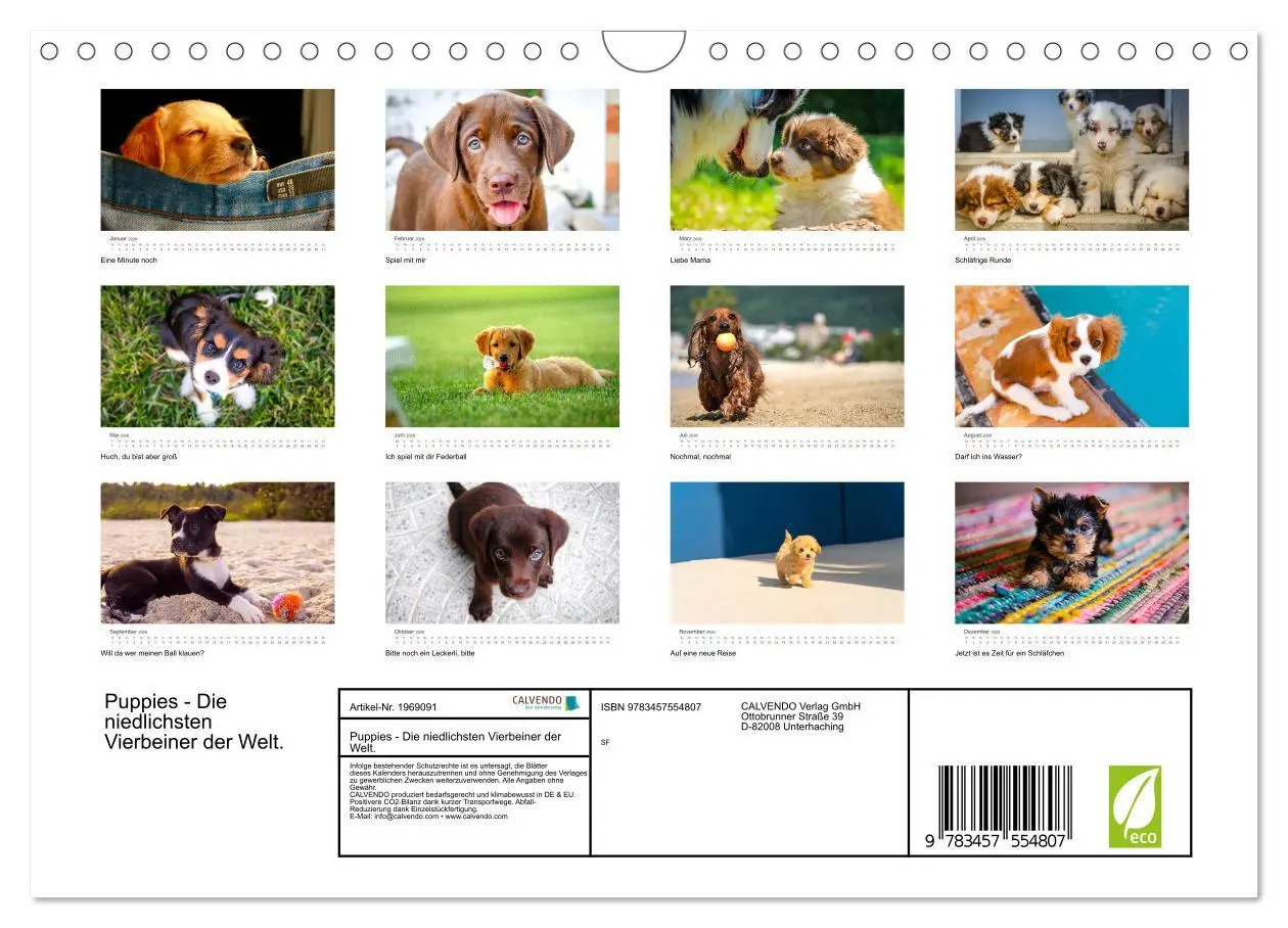 Bild: 9783457554807 | Puppies - Die niedlichsten Vierbeiner der Welt. (Wandkalender 2026...