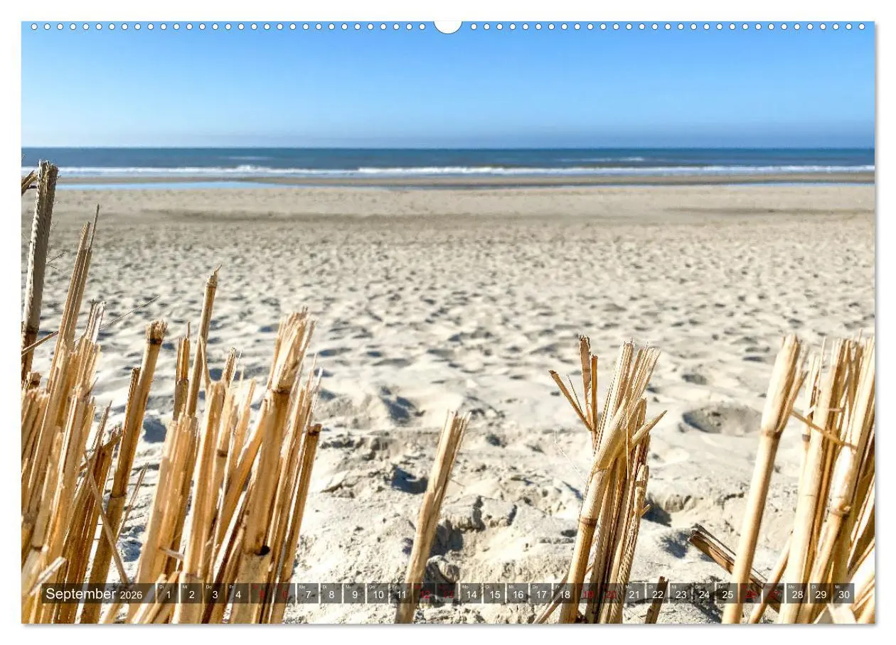 Bild: 9783457624807 | Ferien in Holland (Wandkalender 2026 DIN A2 quer), CALVENDO...