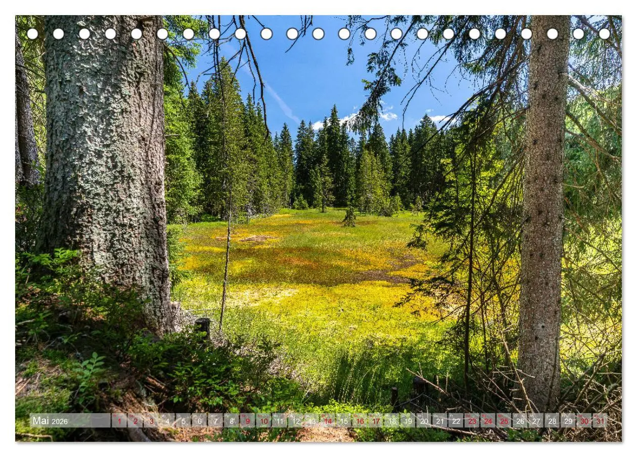 Bild: 9783457794807 | Vogtland - Farben einer Landschaft (Tischkalender 2026 DIN A5...