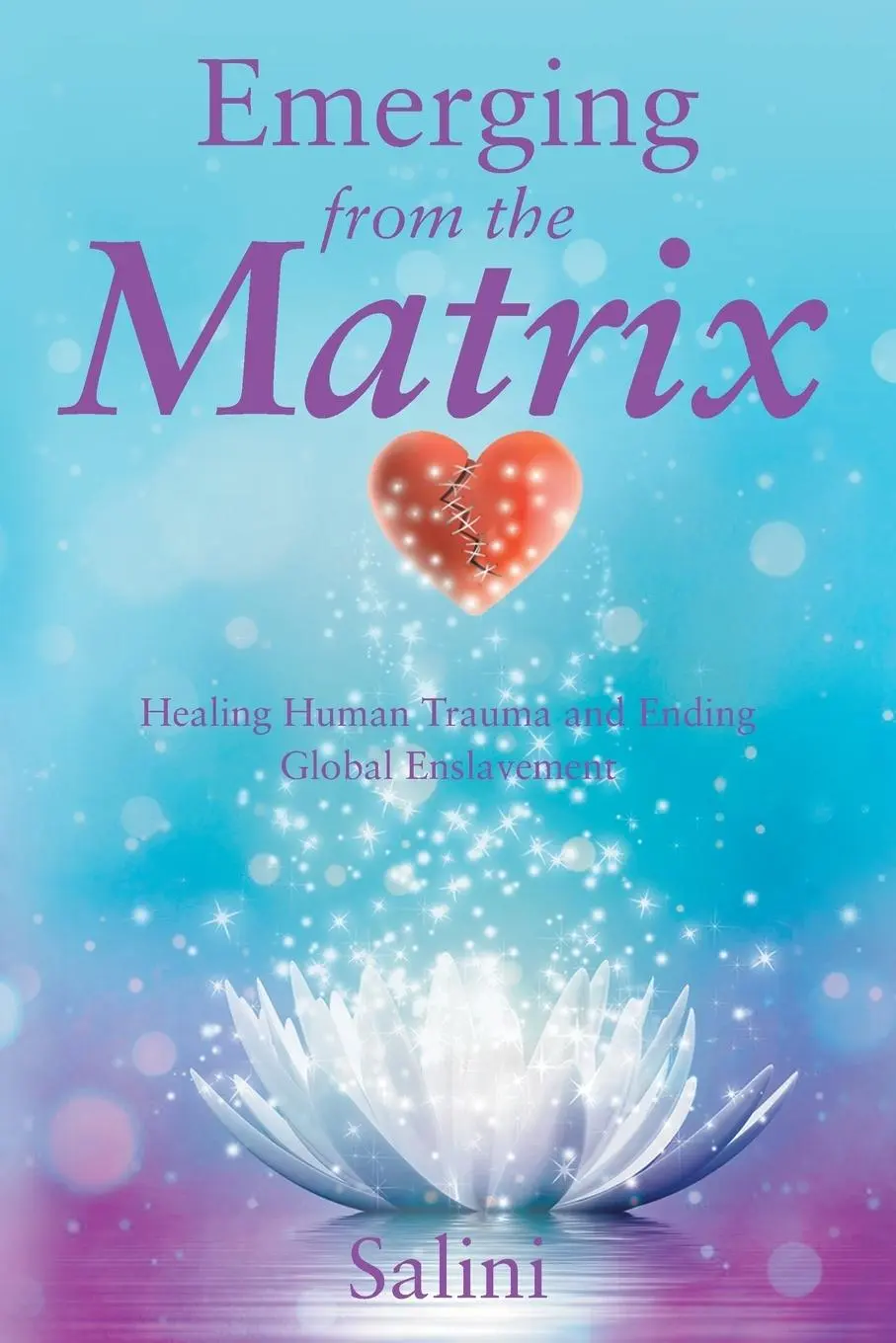 Cover: 9781504334907 | Emerging From the Matrix | Salini | Taschenbuch | Englisch | 2015