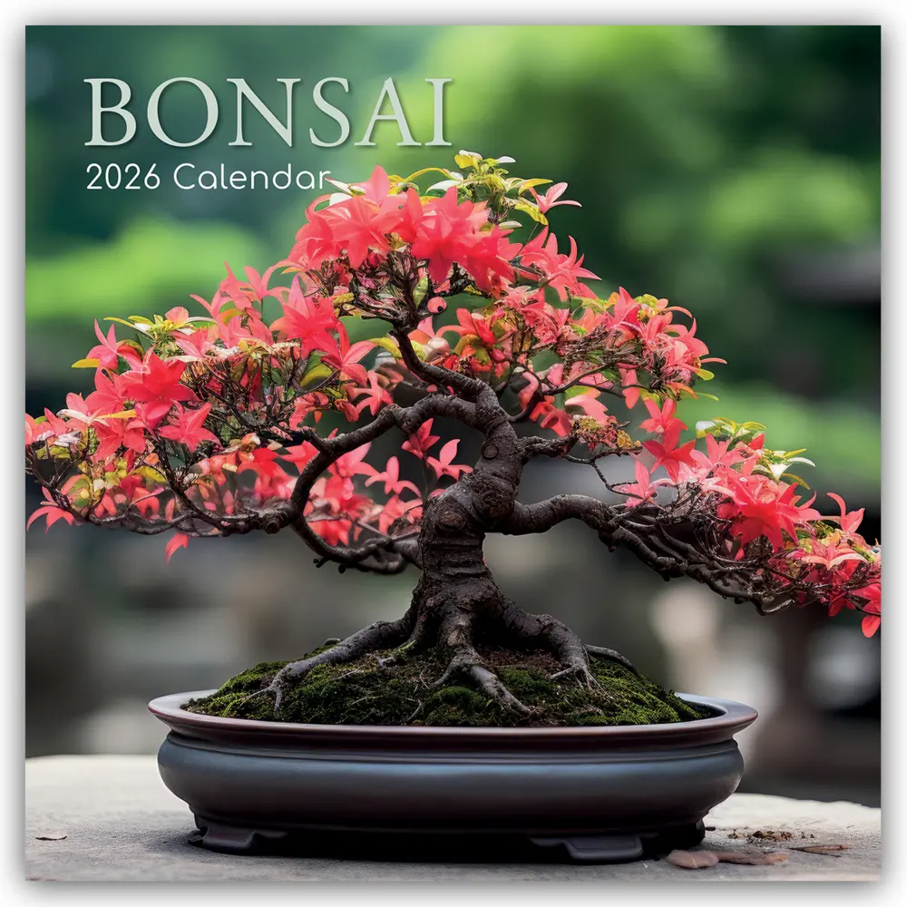 Cover: 9781836224907 | Bonsai - Bonsaibäume 2026 - 16-Monatskalender | Ltd | Kalender | 14 S.