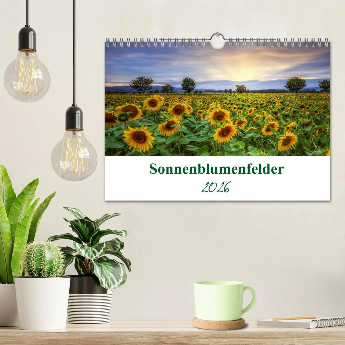 Bild: 9783457784907 | Sonnenblumenfelder (Wandkalender 2026 DIN A4 quer), CALVENDO...