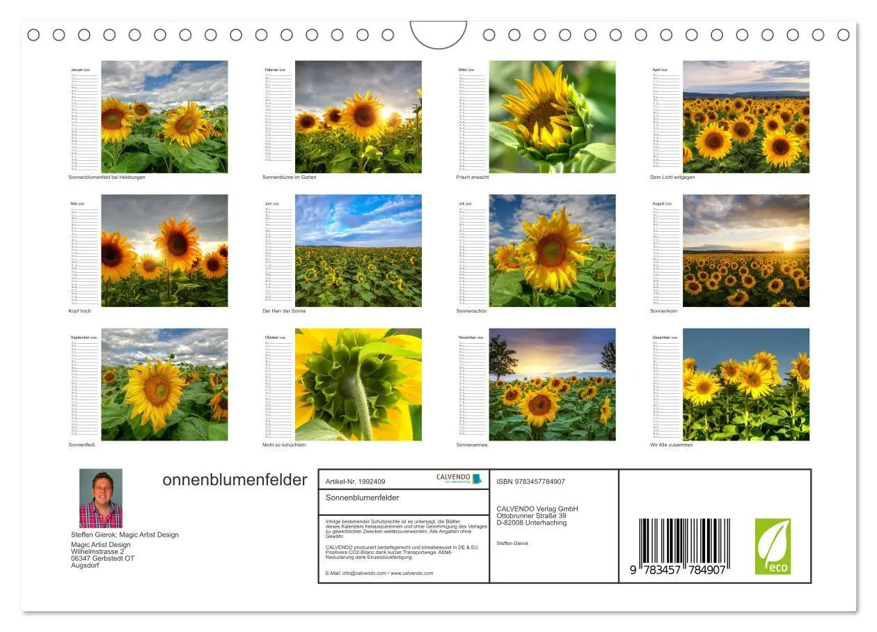 Bild: 9783457784907 | Sonnenblumenfelder (Wandkalender 2026 DIN A4 quer), CALVENDO...