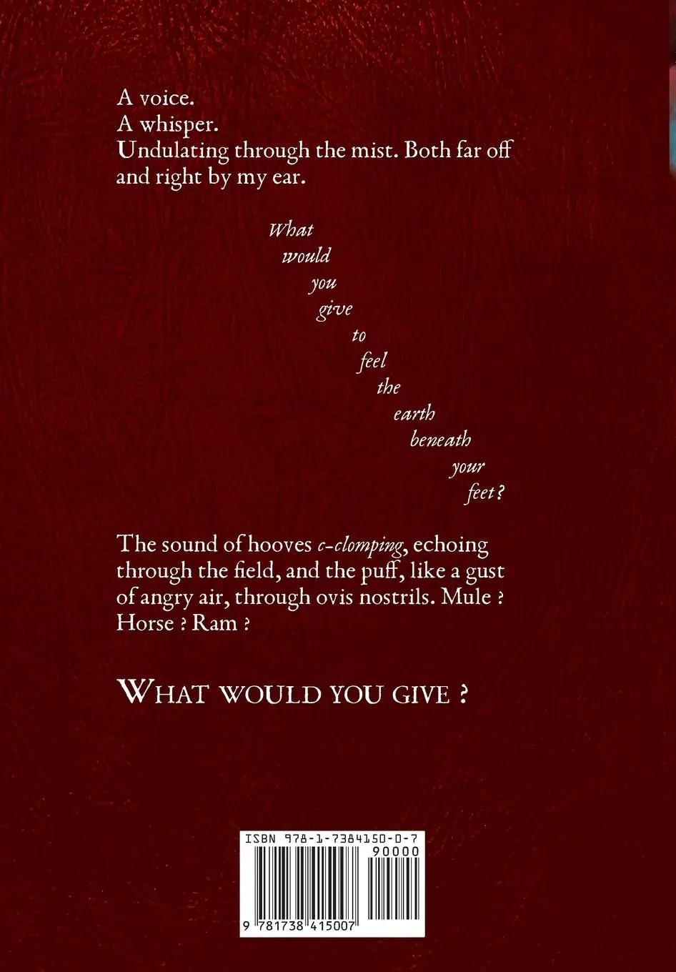 Rückseite: 9781738415007 | Blood on the Wind | Dawn Kurtagich | Buch | Englisch | 2024