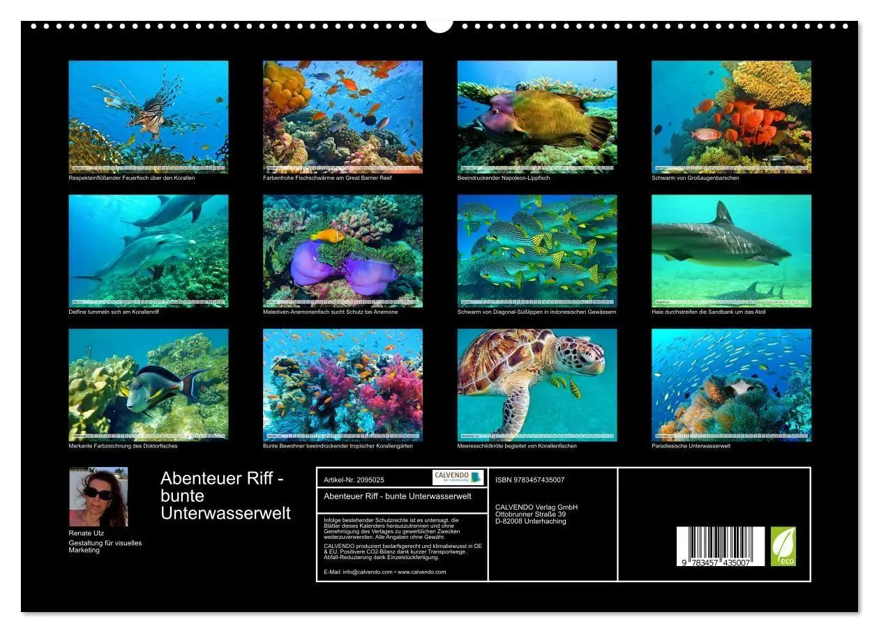 Bild: 9783457435007 | Abenteuer Riff - bunte Unterwasserwelt (hochwertiger Premium...