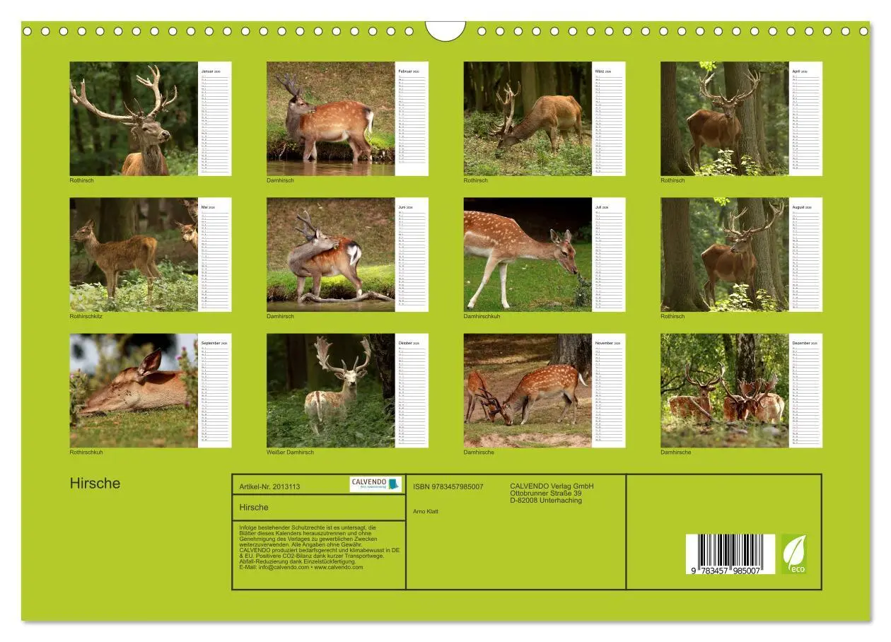 Bild: 9783457985007 | Hirsche (Wandkalender 2026 DIN A3 quer), CALVENDO Monatskalender
