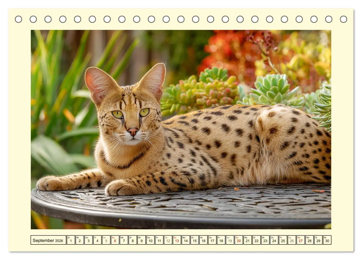 Bild: 9783516215007 | Savannah Katzen. Exotische Wildschönheiten im Naturgarten...
