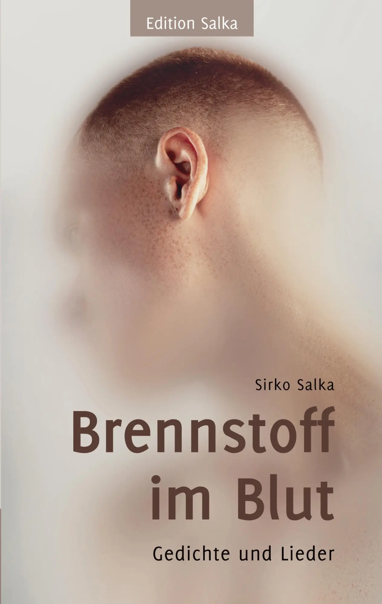 Cover: 9783912695007 | Brennstoff im Blut | Gedichte und Lieder | Sirko Salka | Taschenbuch