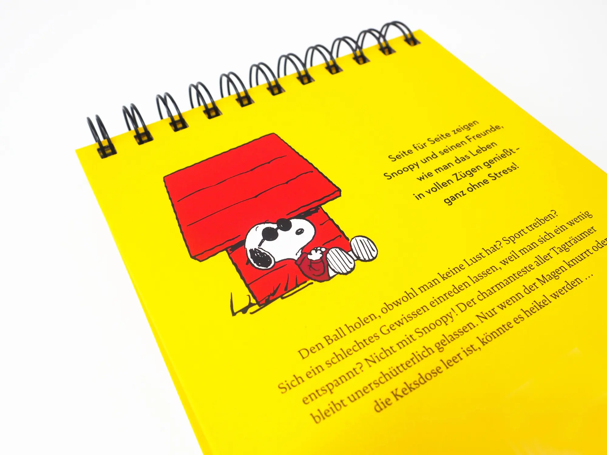 Bild: 9783150115107 | "Immer nach oben schauen ... das ist das Geheimnis des Lebens". Mit...