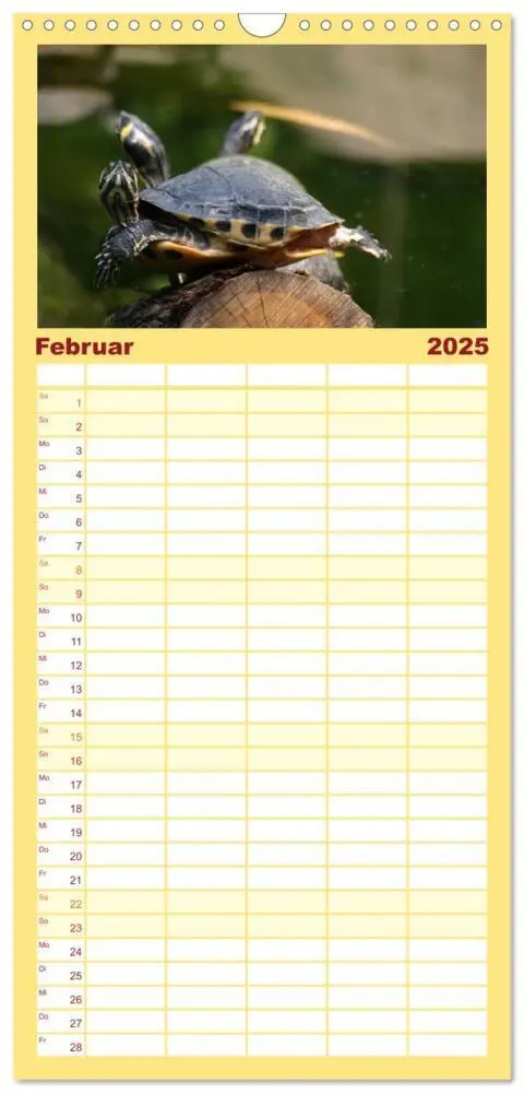 Bild: 9783457115107 | Familienplaner 2025 - Schildkröten - Gepanzerte Urzeitwesen mit 5...