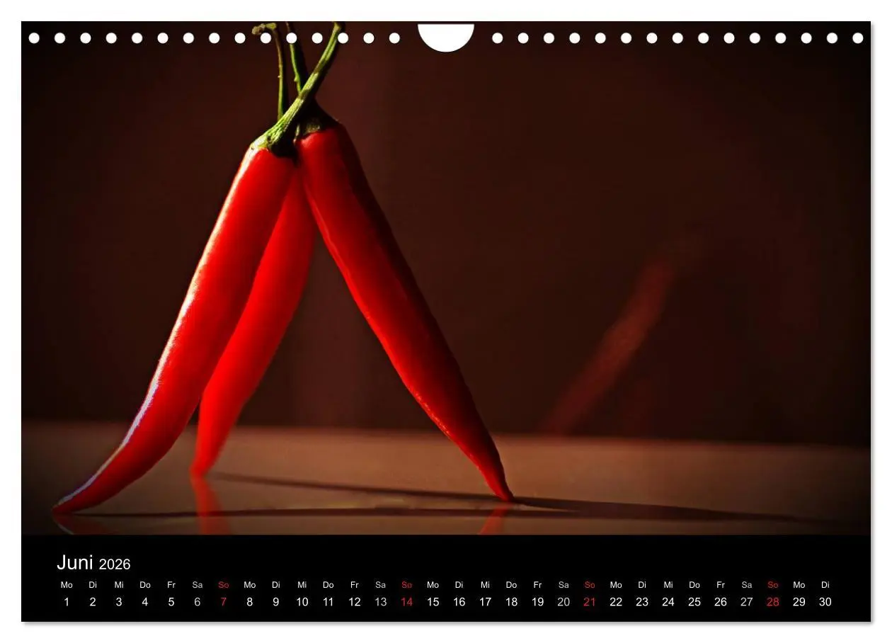 Bild: 9783516205107 | Hot Chili Küchen Kalender (Wandkalender 2026 DIN A4 quer), CALVENDO...