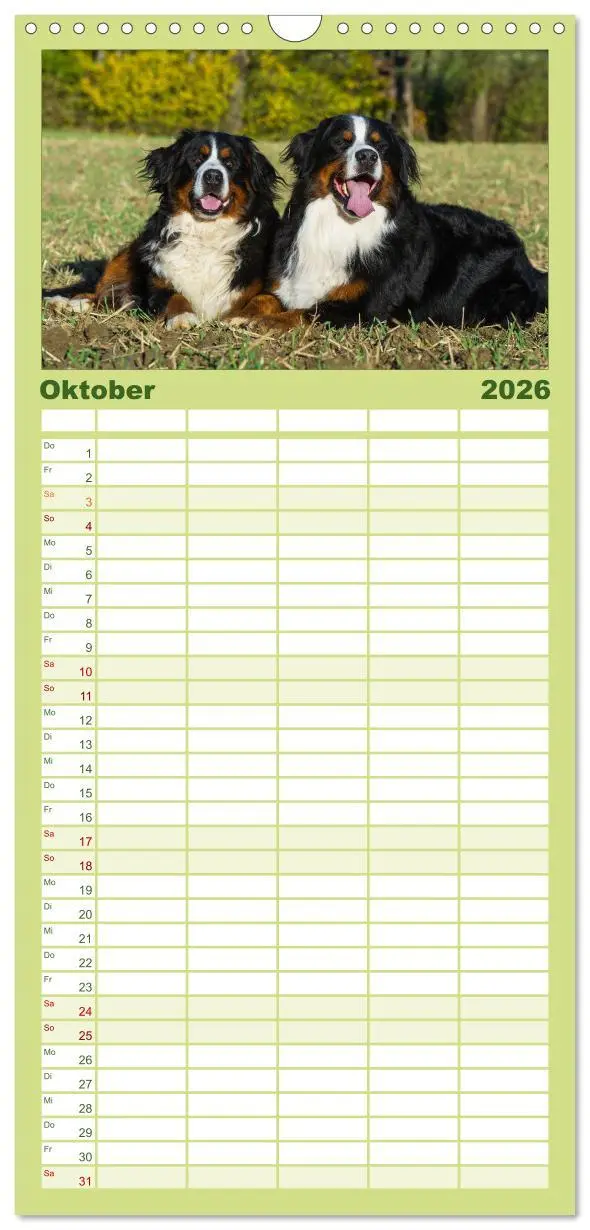 Bild: 9783516515107 | Familienplaner 2026 - Treuer Freund Berner Sennenhund mit 5 Spalten...