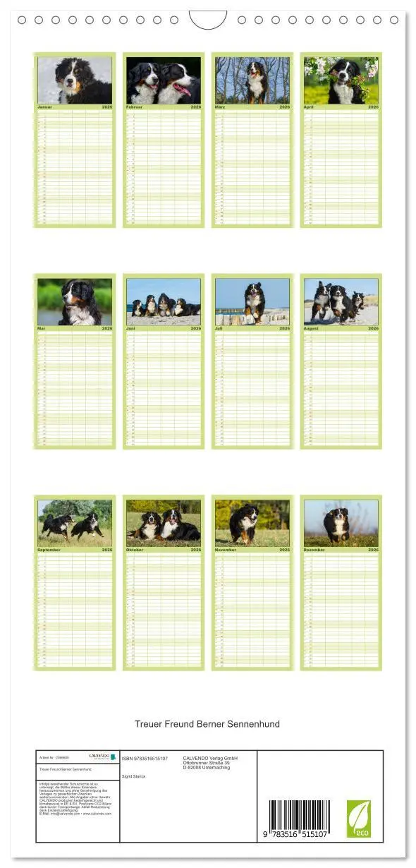 Bild: 9783516515107 | Familienplaner 2026 - Treuer Freund Berner Sennenhund mit 5 Spalten...