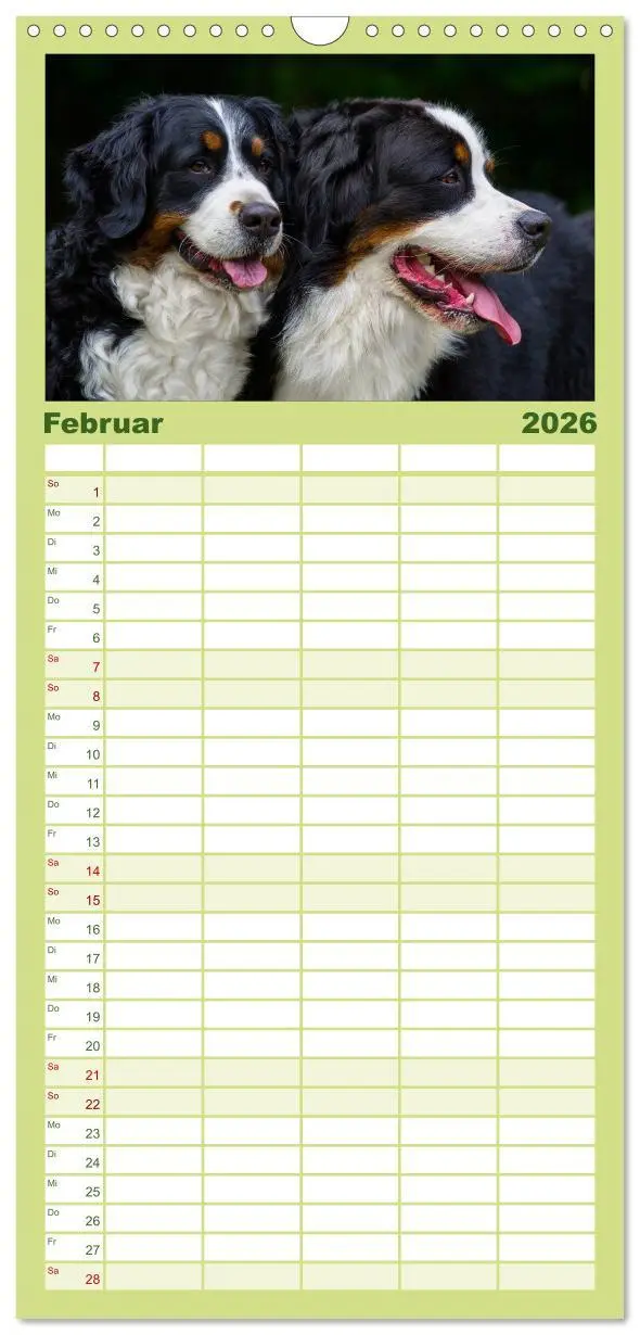 Bild: 9783516515107 | Familienplaner 2026 - Treuer Freund Berner Sennenhund mit 5 Spalten...