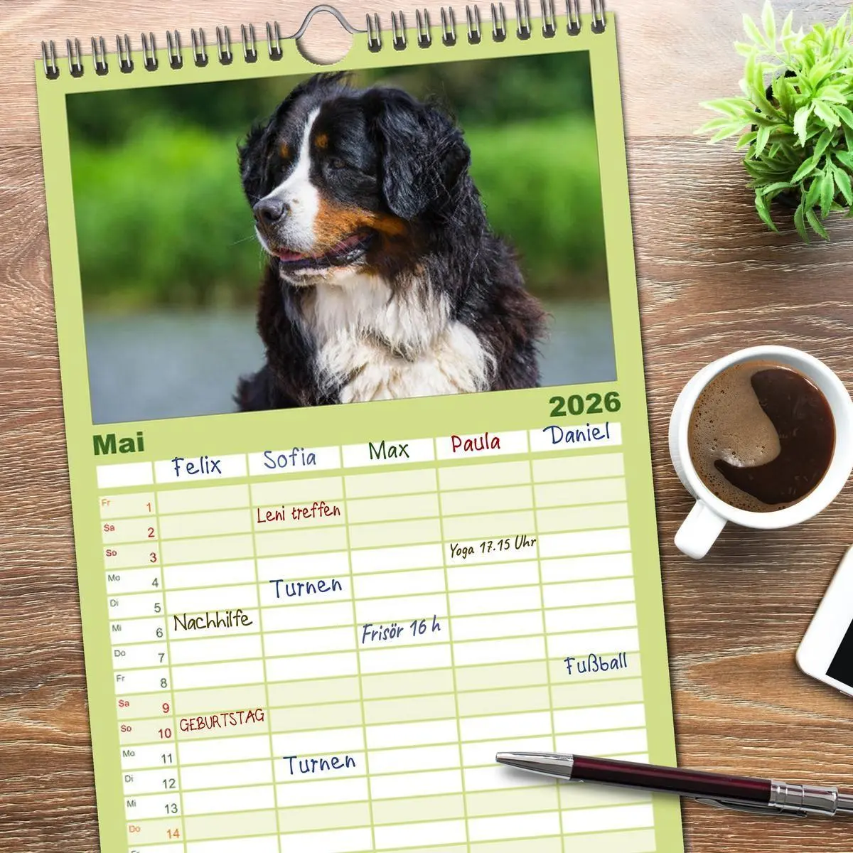 Bild: 9783516515107 | Familienplaner 2026 - Treuer Freund Berner Sennenhund mit 5 Spalten...