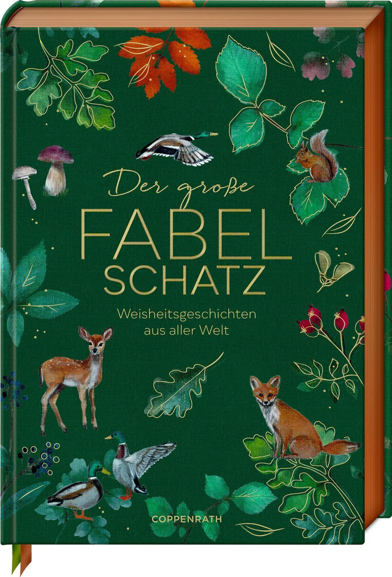Cover: 9783649655107 | Der große Fabelschatz | Weisheitsgeschichten aus aller Welt | Dohna